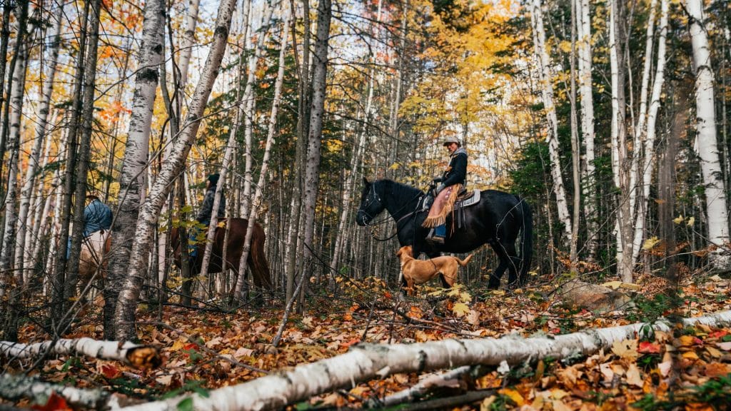 Randonnée à cheval Les Montagnards de Charlevoix