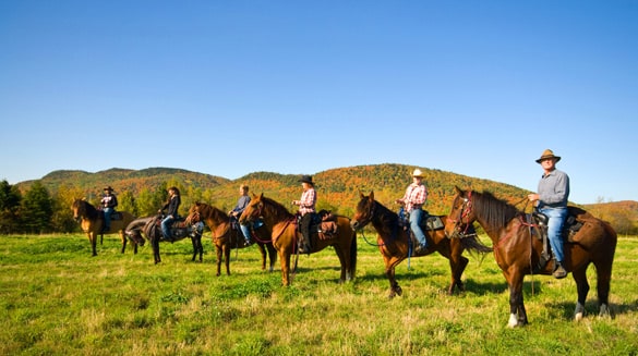 Randonnée à cheval Écuries Entre Monts et Marées